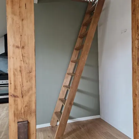 Les De Romain Et Julien Dijon