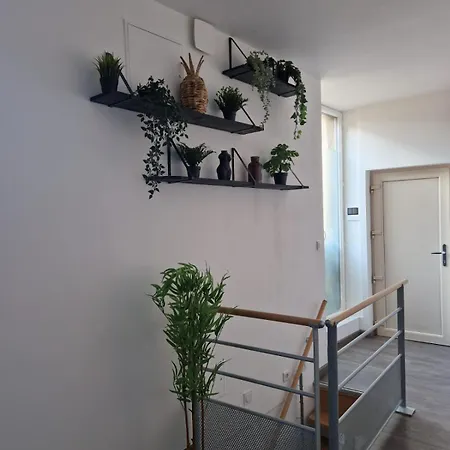 Les De Romain Et Julien Apartament