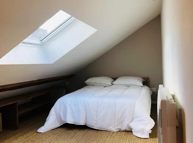 Les De Romain Et Julien * Dijon