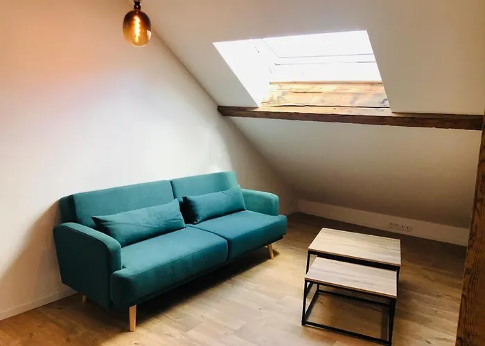 Apartamento Les De Romain Et Julien Dijon