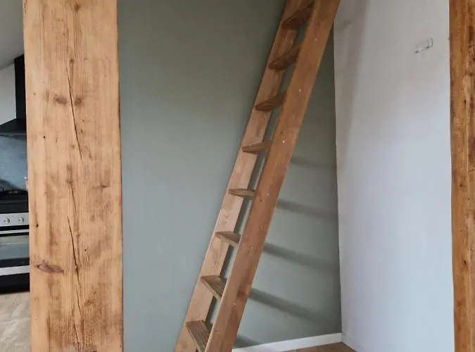 Les De Romain Et Julien Dijon