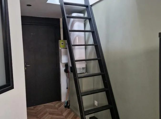 Les De Romain Et Julien Dijon