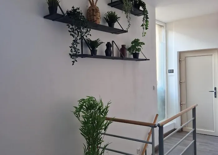 Les De Romain Et Julien Apartamento